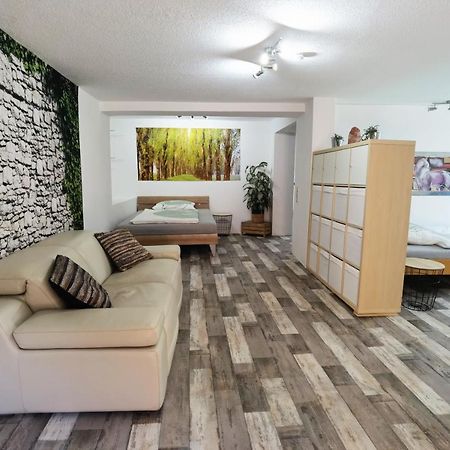 Reichenbach-Steegen Ferienwohnung - Appartement "Painted Horse" Im Herzen Des Pfaelzer Waldes מראה חיצוני תמונה