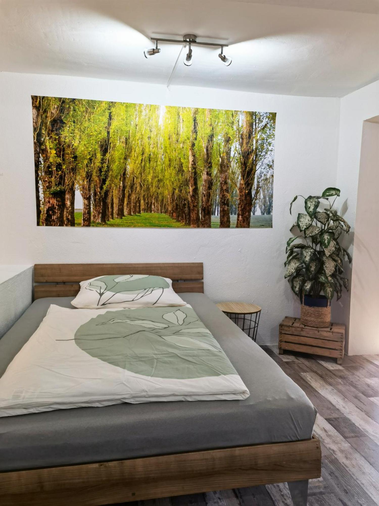 Reichenbach-Steegen Ferienwohnung - Appartement "Painted Horse" Im Herzen Des Pfaelzer Waldes מראה חיצוני תמונה